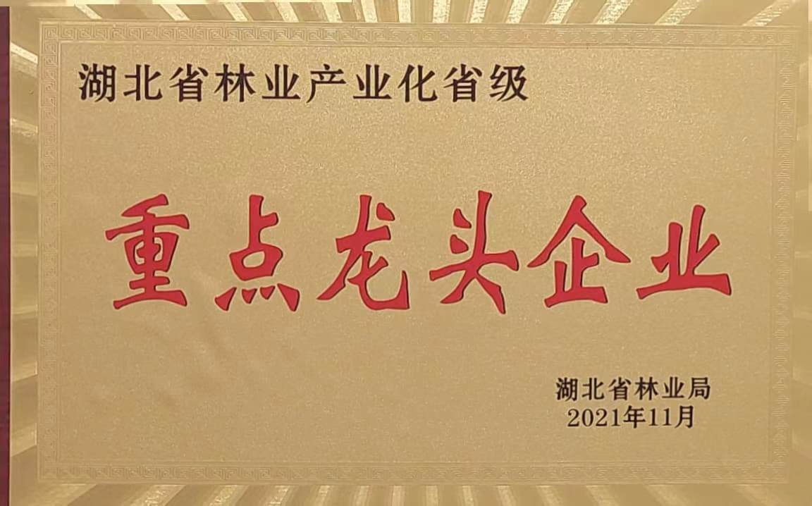 省林業(yè)產(chǎn)業(yè)化重點(diǎn)龍頭企業(yè)（2021.11）.jpg